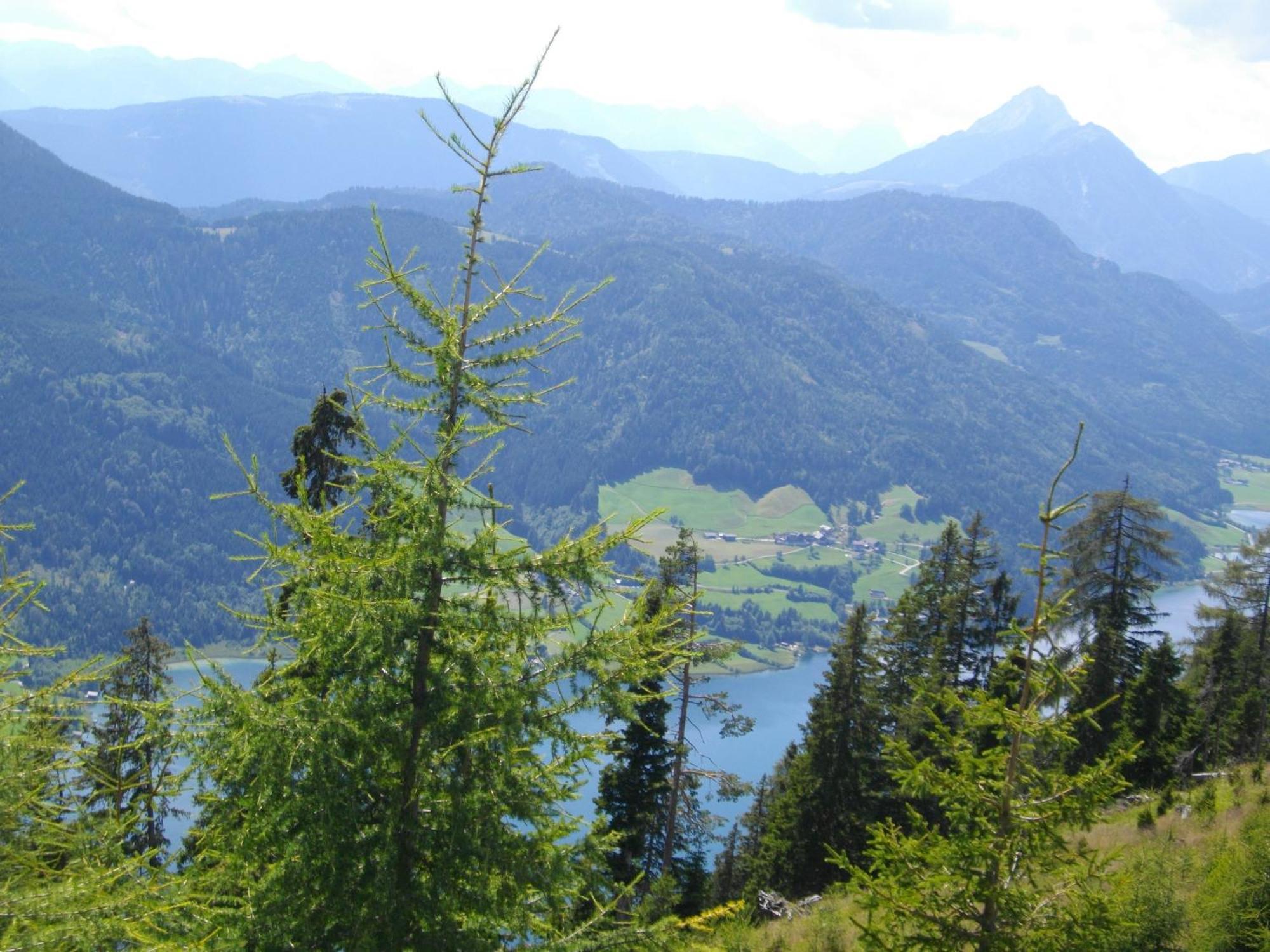 Haus Birke Apartment Weissensee Bagian luar foto